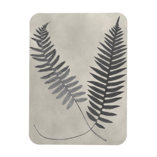 Vintage Ferns Magnet (Vertical)