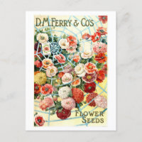 Vintage Ferry Flower Seed Advertisement