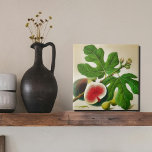 Vintage fig illustration tile<br><div class="desc">Introducing our vintage fig illustration, featuring ripe, luscious fruits adorned with vibrant green leaves. This beautiful artwork captures the essence of the Mediterranean, bringing a warm and inviting feel to any space. The illustration is meticulously printed on a high-quality ceramic tile, making it a perfect decorative piece for your home...</div>