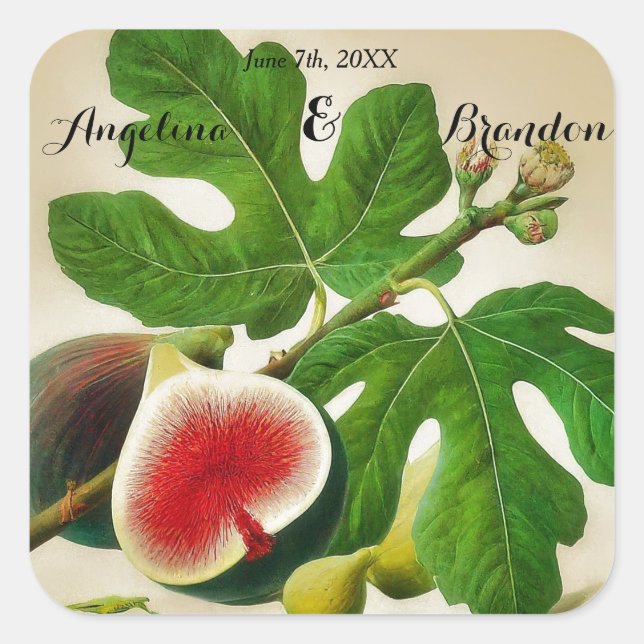 vintage  Fig orchard wedding Square Sticker (Front)