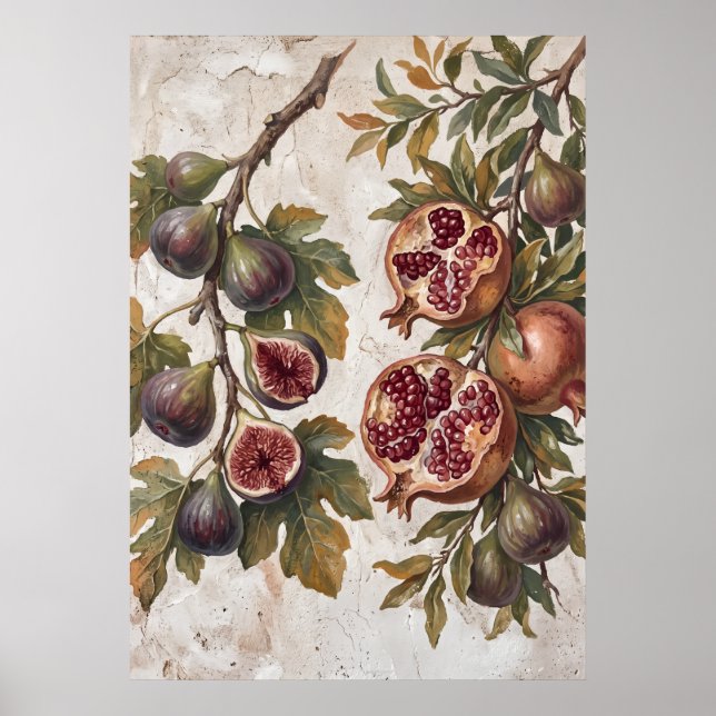 Vintage Fig Pomegranate Art Poster (Front)