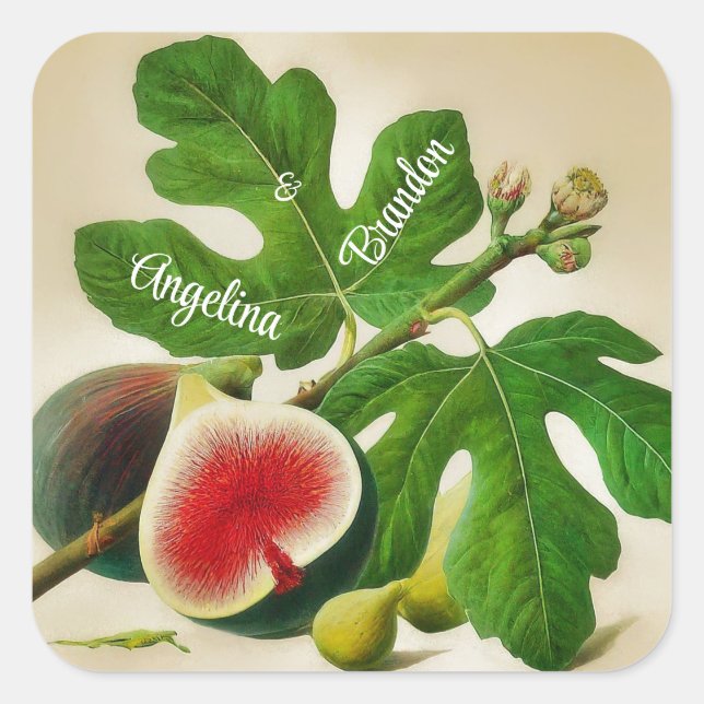 Vintage  figs wedding Personalised Square Sticker (Front)