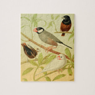 vintage finch and sparrow jigsaw puzzle