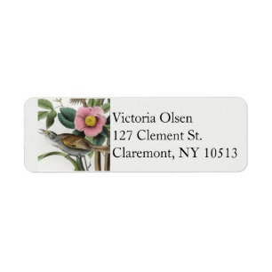 Vintage finch bird return address labels