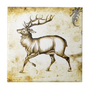Vintage fineart F076 deer Tile