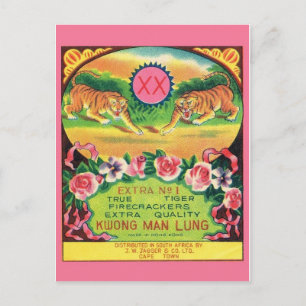 Vintage Firecracker Package Postcard