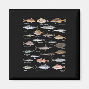 Vintage Fish Identification Chart Fishing Magnet