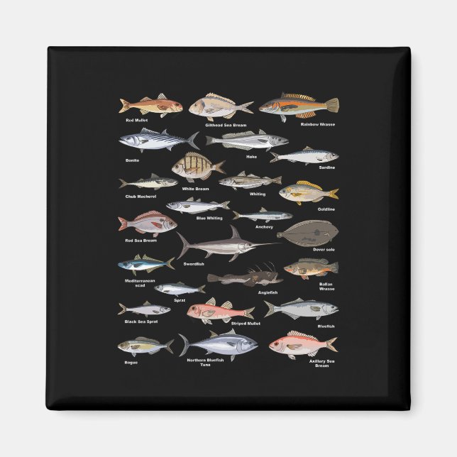 Vintage Fish Identification Chart Fishing  Magnet (Front)