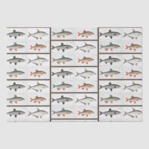 Vintage Fish Illustrations Tissue Paper