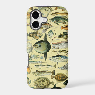 Vintage Fish Scientific Fishing Art