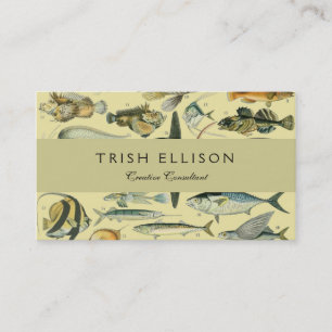 Vintage Fish Scientific Fishing Art Business Card