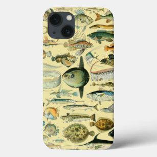 Vintage Fish Scientific Fishing Art iPhone 13 Case