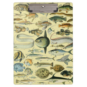 Vintage Fish Scientific Fishing Art Clipboard