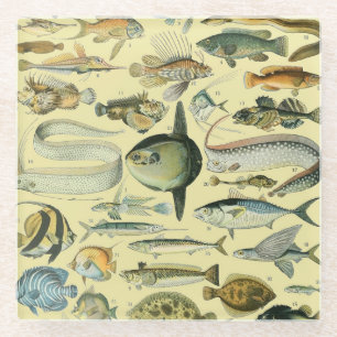 Vintage Fish Scientific Fishing Art Glass Coaster