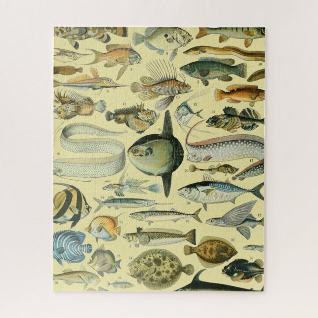 Vintage Fish Scientific Fishing Art Jigsaw Puzzle (Vertical)