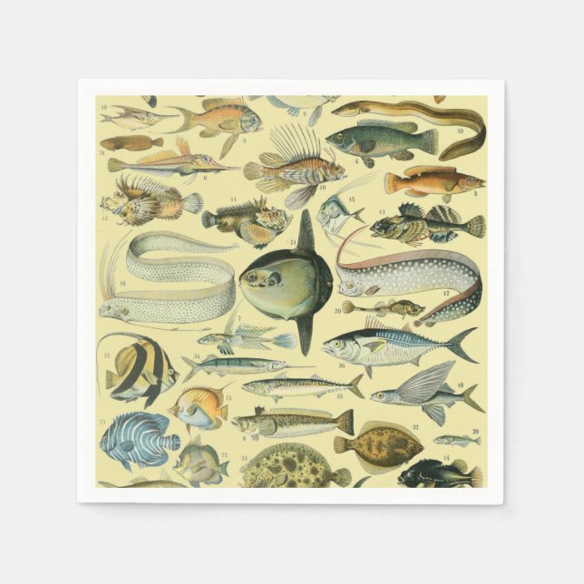 Vintage Fish Scientific Fishing Art Napkin (Front)