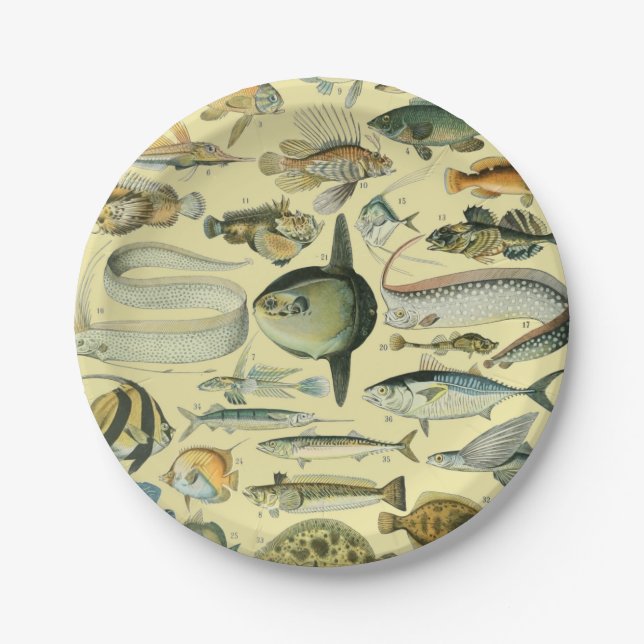 Vintage Fish Scientific Fishing Art Paper Plate (Front)