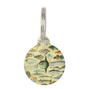Vintage Fish Scientific Fishing Art Pet Tag