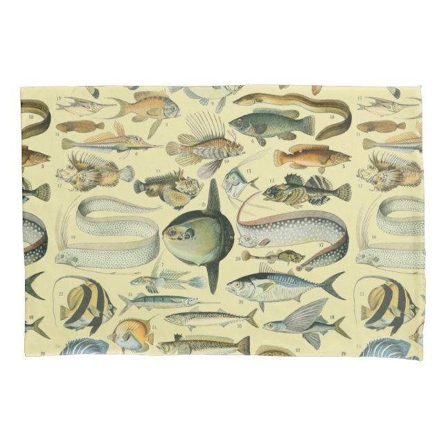 Vintage Fish Scientific Fishing Art Pillowcase (Front)