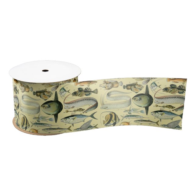 Vintage Fish Scientific Fishing Art Satin Ribbon (Spool)