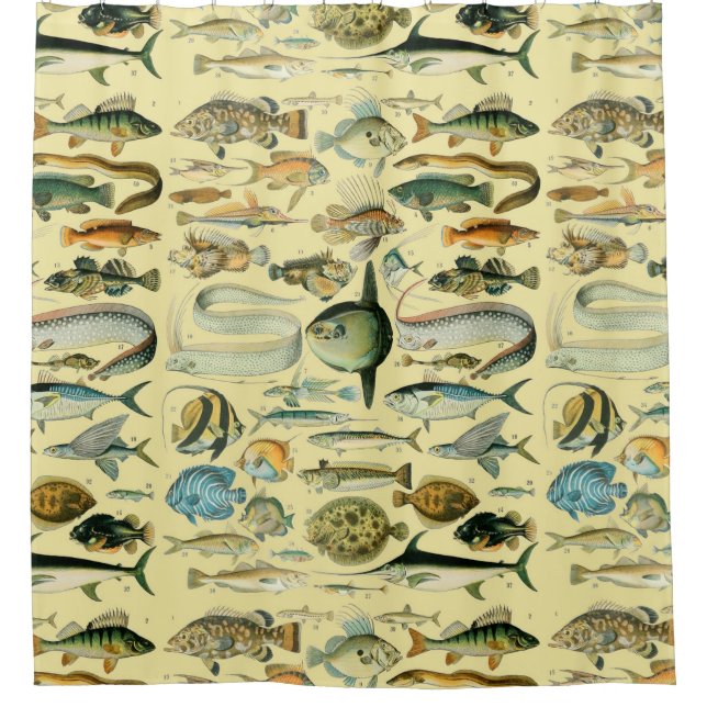 Vintage Fish Scientific Fishing Art Shower Curtain (Front)