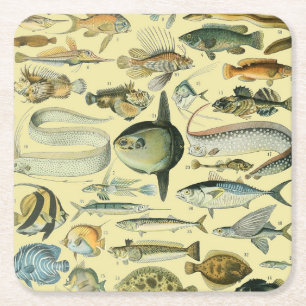 Vintage Fish Scientific Fishing Art Square Paper Coaster