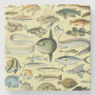 Vintage Fish Scientific Fishing Art Stone Coaster