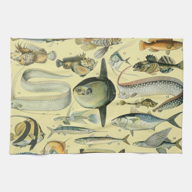 Vintage Fish Scientific Fishing Art Tea Towel (Horizontal)
