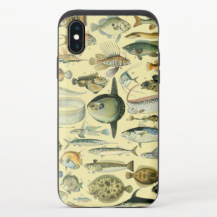 Vintage Fish Scientific Fishing Art iPhone X Slider Case