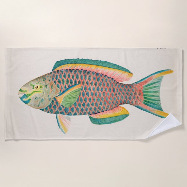 Vintage Fish Scientific Illustration  Beach Towel (Front)