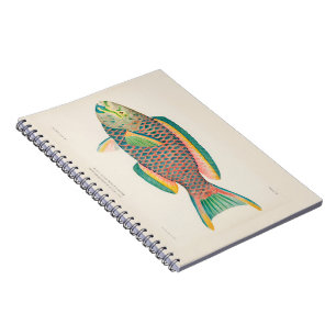 Vintage Fish Scientific Illustration  Notebook