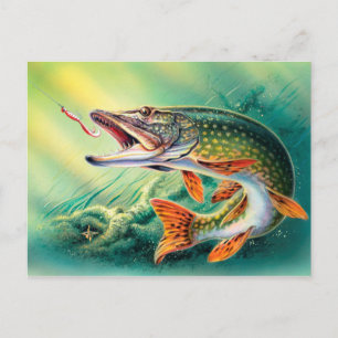 Vintage Fishing cute fish postcard