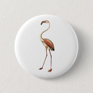 Vintage Flamingo 6 Cm Round Badge