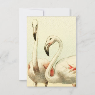 Vintage Flamingo Card