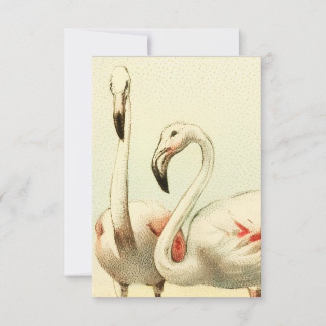 Vintage Flamingo Card (Front)