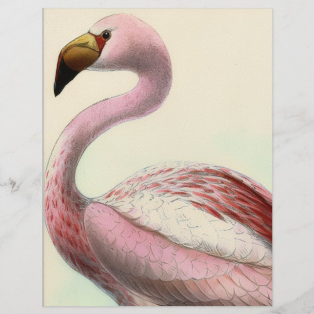 Vintage Flamingo Custom Letterhead (Front)