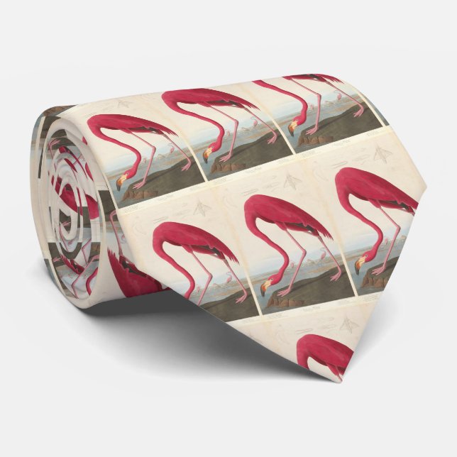 Vintage Flamingo Illustration (1838) Tie (Rolled)