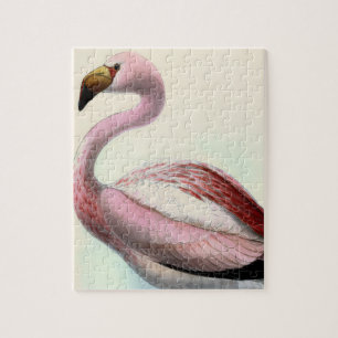 Vintage Flamingo Jigsaw Puzzle