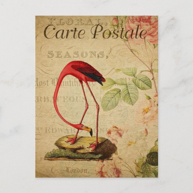 Vintage Flamingo Pink Roses Floral French  Postcard (Front)