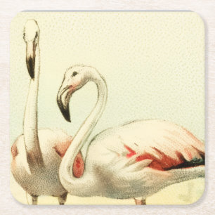 Vintage Flamingo Square Paper Coaster