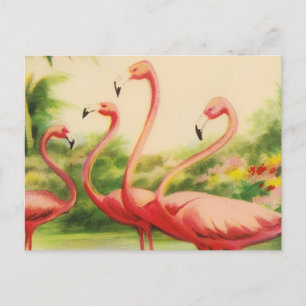 Vintage Flamingos Holiday Postcard