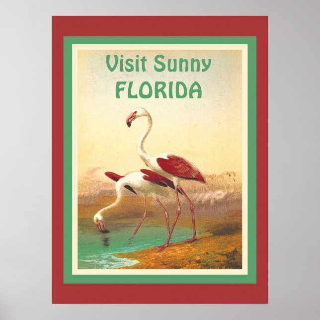 Vintage Flamingos Visit Florida Tourism Travel  Poster (Front)