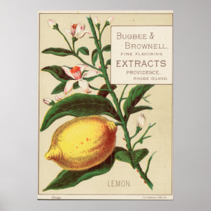 Vintage Flavour Extract Advertisement Poster