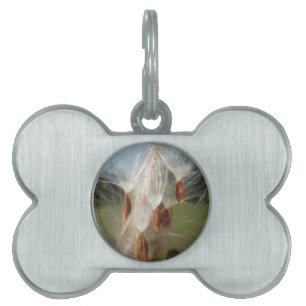 Vintage Flora and Fauna Milkweeds Floating.jpg Pet Tag