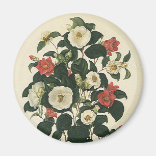 Vintage Floral, Antique Garden Roses Flowers Magnet