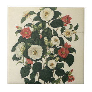 Vintage Floral, Antique Garden Roses Flowers Tile