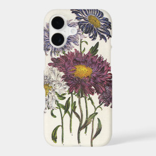 Vintage Floral, Antique Purple Aster Flowers