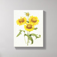 Vintage Floral Blanket Flower Sunflower by Redoute