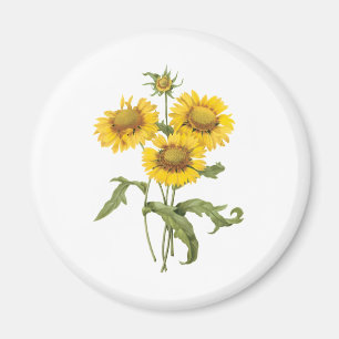 Vintage Floral Blanket Flower Sunflower by Redoute Magnet
