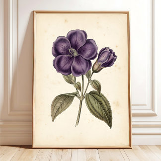 Vintage Floral Botanical Wall Art Print